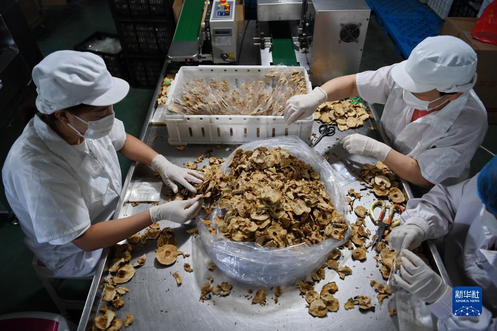 ag正网登录
